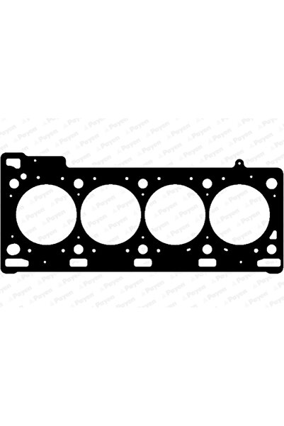 PAYEN Garnitura Chiulasa Mahindra Scorpio Renault Avantime/Clio 2/Espace 3