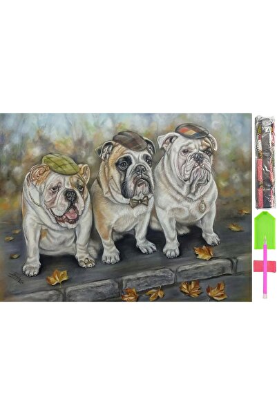 Other Set broderie cu diamant 5D, mozaic, 40*60cm