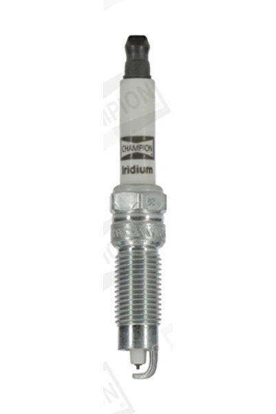 Champion Bujii Ford Usa Mustang