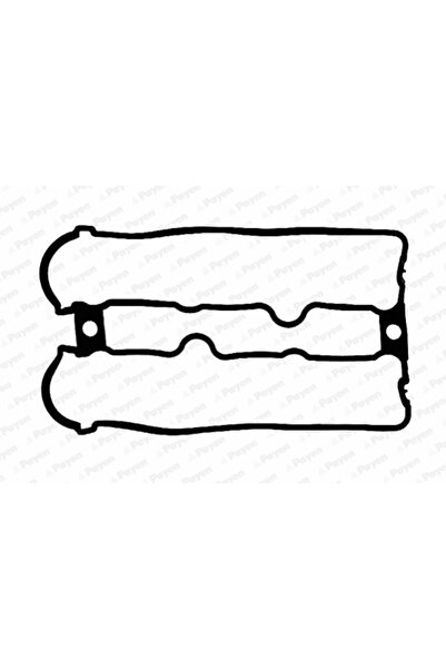 PAYEN Garnitura Capac Supape Holden Calibra/Commodore Limuzina/Vectra Opel Ca...