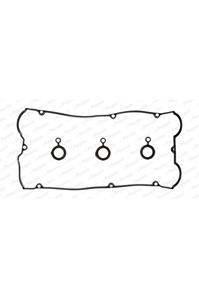 PAYEN Set Garnituri Capac Supape Hyundai Equus / Centennial/Grandeur/Santa Fe...