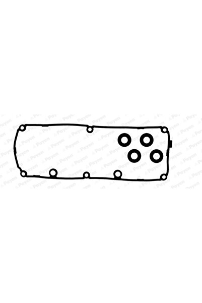 PAYEN Set Garnituri Capac Supape Audi A1/A6 C7/Q5 Seat Alhambra/Leon 2003-2022