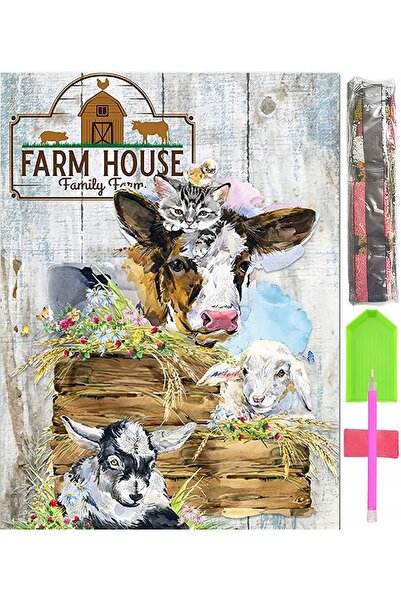 Other Set broderie cu diamant 5D, mozaic, 40*60cm