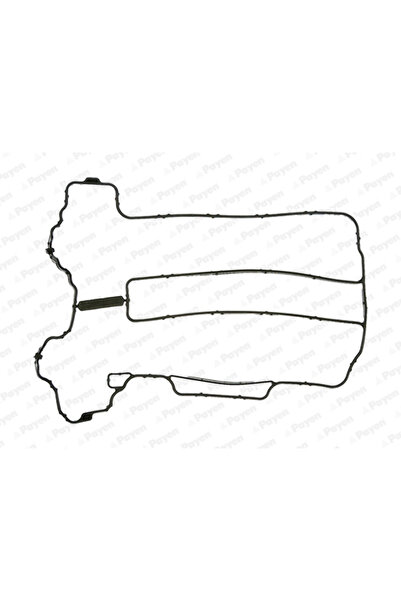 PAYEN Garnitura Capac Supape Opel Agila/Corsa C/Corsa D Suzuki Wagon R