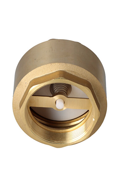 Other TIGER spring check valve, brass, 2 inches