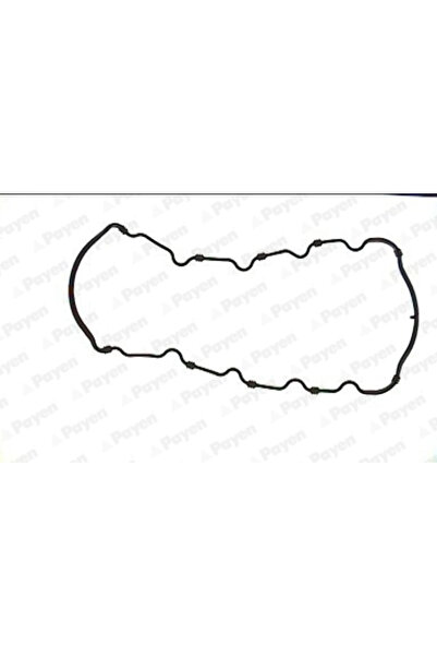 PAYEN Garnitura Baie Ulei Ford Escrt 5/Escrt 6/Fiesta 3