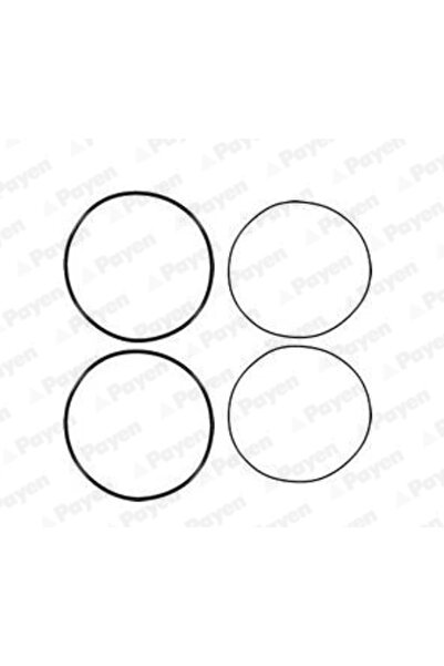 PAYEN Set Garnituri Bucsa Cilindru King Long 6110/6122 Man F2000/F8