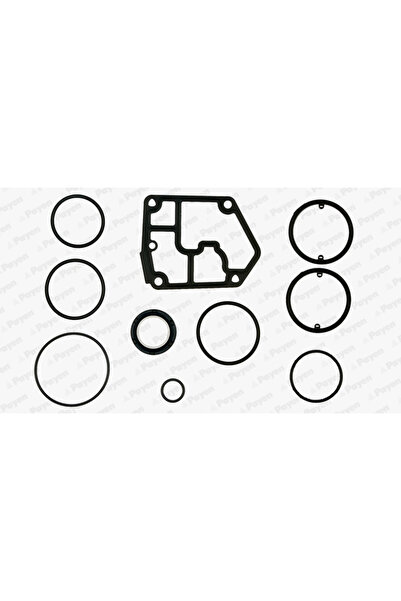 PAYEN Set Garnituri Carter Audi A3/A4 B7/A6 C6 Seat Altea/Cordoba/Ibiza 3