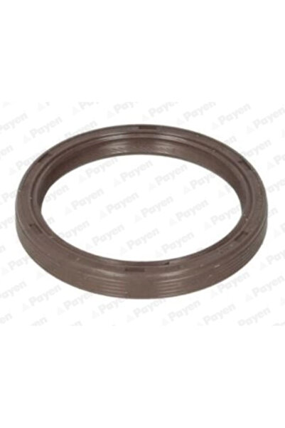 PAYEN Simering Ax Cu Came Ford C-Max 2/Fiesta 6/Fiesta Limuzina Ford Australi...