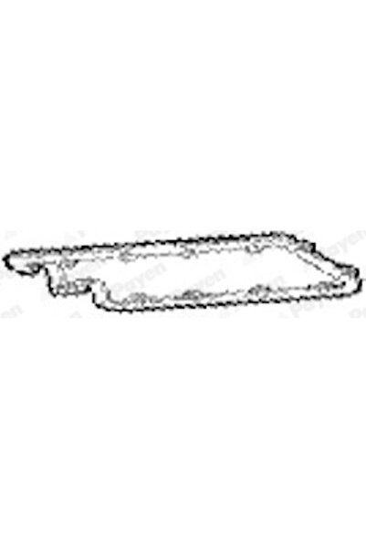 PAYEN Garnitura Capac Supape Dreapta Alfa Romeo 147/156/166 Infiniti Q45 1