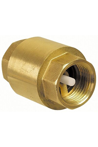 Other TIGER spring check valve brass 1 12 inch