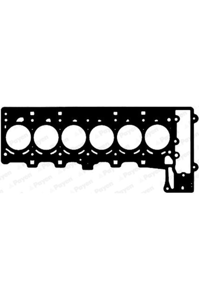 PAYEN Garnitura Chiulasa Bmw 1/3/5 Morgan Eva