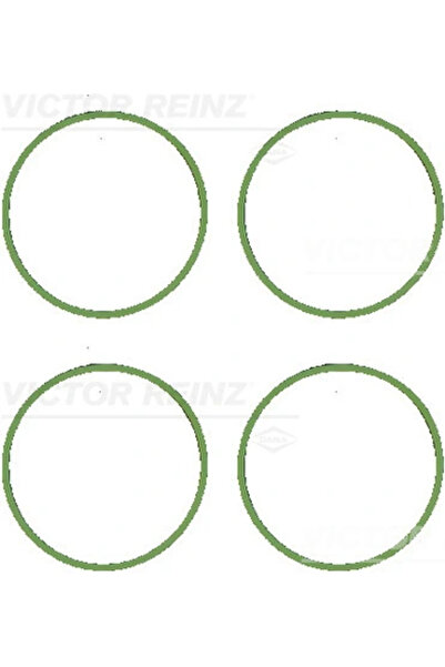 VICTOR REINZ Set Garnituri Galerie Admisie Dacia Logan/Sandero