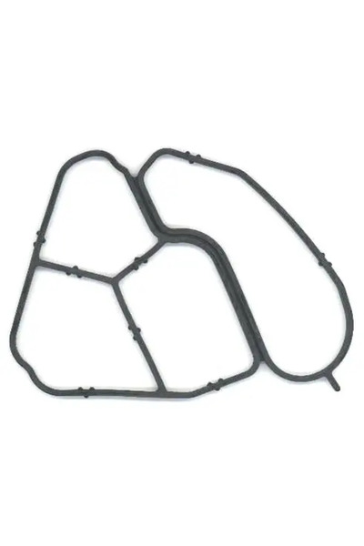 ELRING Garnituri Carcasa Filtru Ulei Bmw 3/5/7 Land Rover Range Rover 3