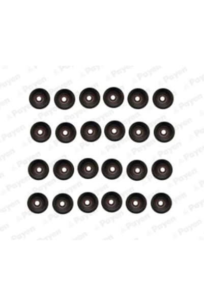 PAYEN Set Garnituri Ax Supape Alpina D5 Bmw 3/5/6