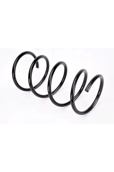 MAGNUM TECHNOLOGY Пружина за преден мост Renault Twingo 1