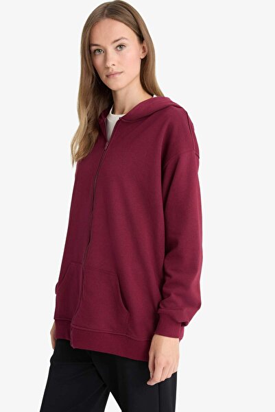 DeFacto Regular Fit Hooded Soft Fleece Thick Zippered Sweatshirt D1606Ax25Wn