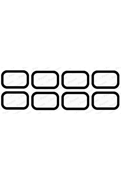 PAYEN Set Garnituri Galerie Admisie Ford Mondeo 3/Ranger Ford Australia Range...