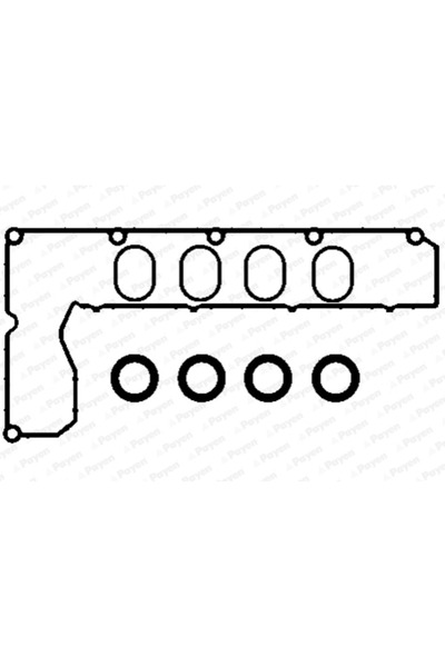 PAYEN Set Garnituri Galerie Admisie Citroen C4 1/C4 Cupe/C5 2 Ford C-Max/Focu...