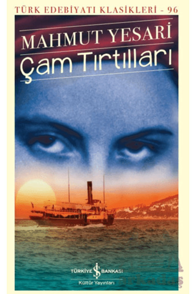 TÜRKİYE İŞ BANKASI KÜLTÜR YAYINLARI Çam Tırtılları