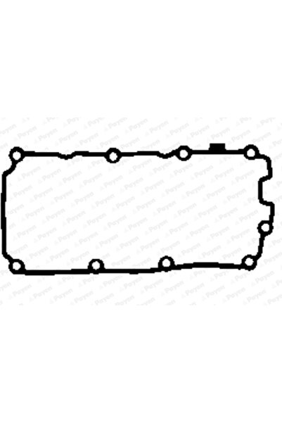 PAYEN Гарнитура за ляв капак на клапани Audi A4 B7/A4 B8/A5 Porsche Cayenne
