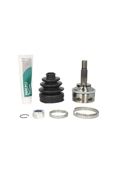 Pascal Set articulatie planetara spre roata RENAULT MEGANE Scénic (JA0/1_) 1996-1999