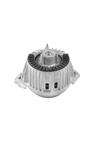 TEDGUM Suport Motor Mercedes-Benz Cls/E-Class