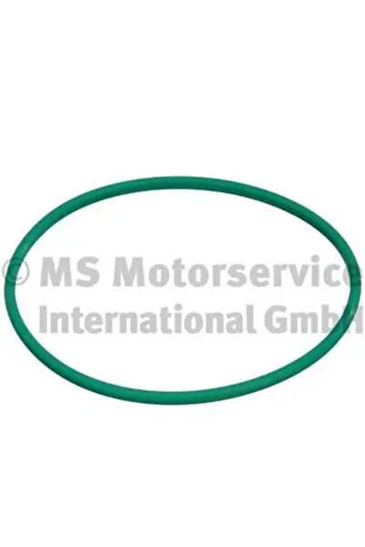 PIERBURG Garnitura Capac Rezervor Citroen Berlingo / Berlingo First Microbus/...