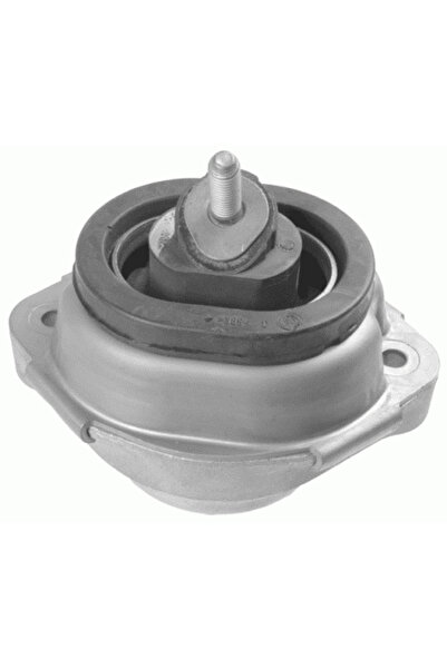 GRAP Suport Motor Pe Ambele Parti Bmw X5