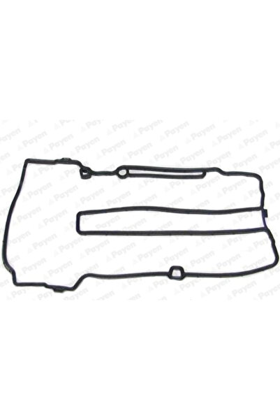 PAYEN Garnitura Capac Supape Chevrolet Aveo/Volt Holden Cruze