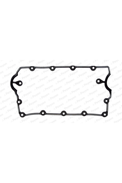 PAYEN Garnitura Capac Supape Audi A3/A4 B5/A4 B6 Ford Galaxy 1
