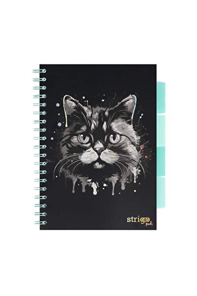 Strigo Spiral notebook and dividers Project Book CAT B5, mathematics, 200 pg, cardboard covers PADS023