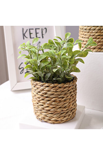 Choice H240415 XIYA FLOWER نباتات صناعية خضراء زهور الكينا منسوجة نباتات صغير...