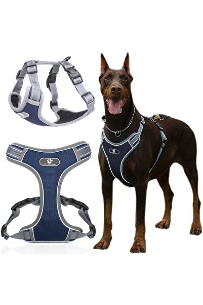 Other Ham de dresaj pentru câini ASTRO bleumarin, mărimea XL