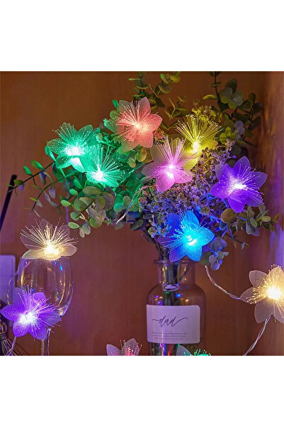 Choice 2 متر 10 مصابيح LED متعددة الألوان 2/3 متر LED ضوء خرافي من الألياف ال...