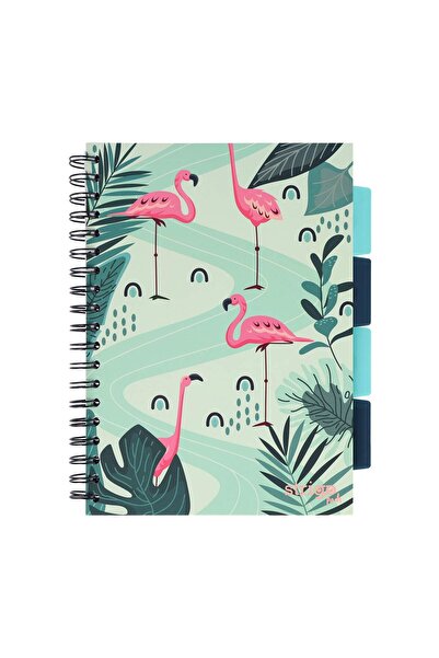 Strigo Spiral notebook and dividers Project Book JUNGLE B5, mathematics, 200 pg, cardboard covers PADS040
