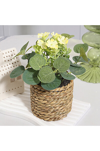 Choice زهرة شيا الصفراء، نباتات صناعية خضراء، زهور الكينا، نباتات صغيرة منسوج...