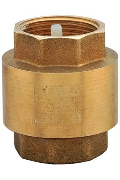 Other 2 inch check valve