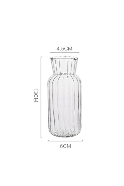 Choice Transparent-L 1pc Nordic Creative Transparent Vases for Plant Bottle F...