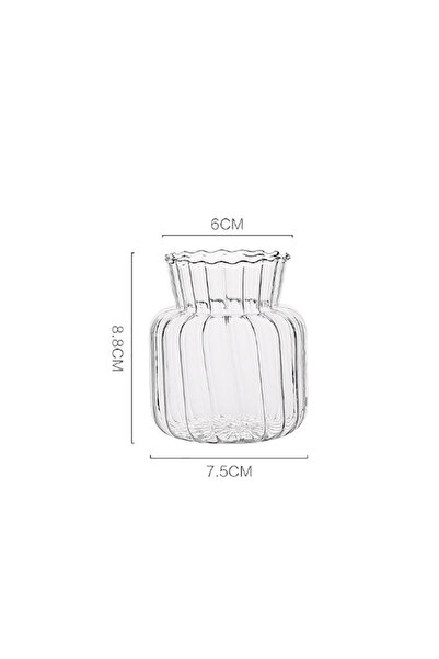 Choice Transparent-S 1pc Nordic Creative Transparent Vases for Plant Bottle F...