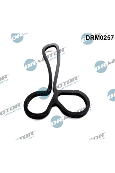 DR.MOTOR AUTOMOTIVE Etansare Racire Ulei Carcasa Filtru Ulei Ford Transit Bus...