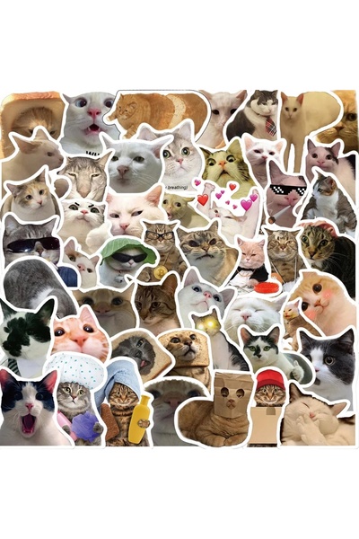 Choice MULTICOLOR 50Pcs Funny Cats Meme Graffiti Stickers DIY Scrapbook Noteb...