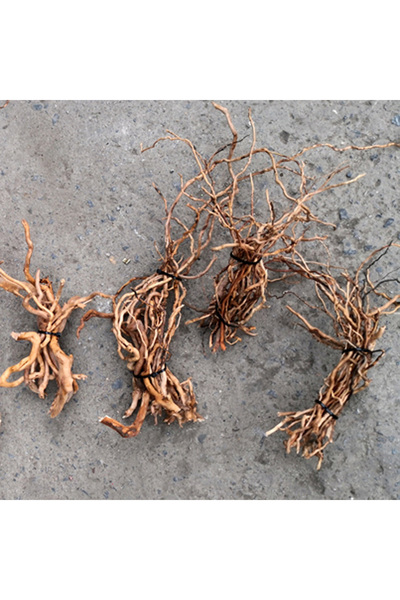 Choice حوض أسماك صغير من الخشب الطافي الطبيعي، جذع جذر شجرة، زينة منزلية لحوض...