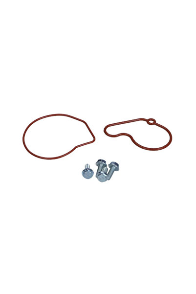 MaxGear Set Reparatie Pompa Vacuum (Siste Frana) Audi A3 Seat Cordoba/Ibiza 2...