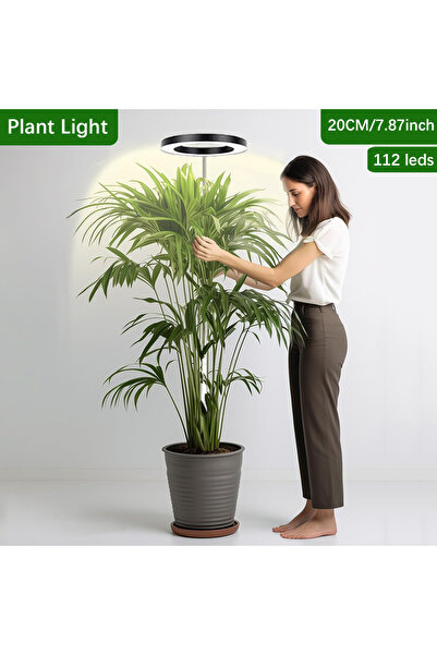 Choice رقاقة LED قطعة واحدة 165 سم ارتفاع قابل للتعديل LED داخلي ضوء نمو النب...