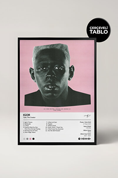 House Gorgeous Tyler, the Creator Igor Album Design Framed Poster Painting