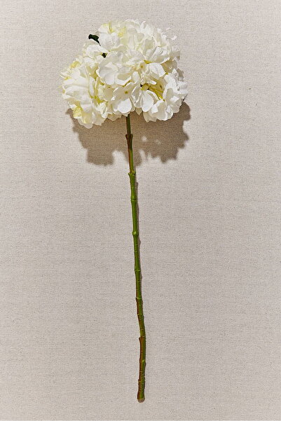 Paşabahçe Ortanca 60 cm Beyaz