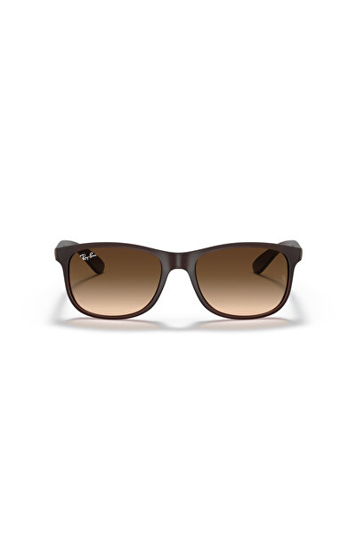 Ray-Ban Rayban rb 4202 c.6073/13 55-17 sunglasses