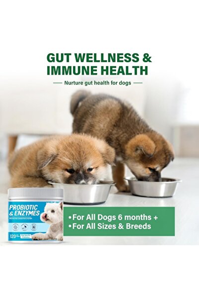 VOKY Snack pentru caini, 120 biscuiti crocanti, cu ingrediente sigure, ajuta la curatarea dintilo