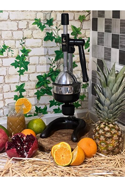 SCY Kale 1706 Model Fruit Press (Industrial Type Fruit Press)